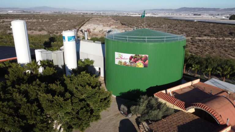 calefaccion buffer tank biosabor