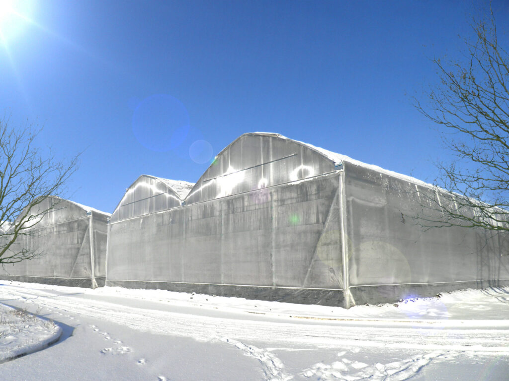 Double plastic skin inflated in greenhouses