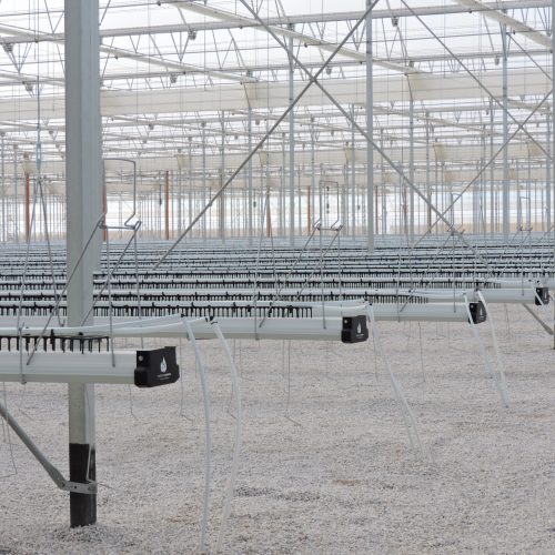 bonnysa canales premium elevated edit 2